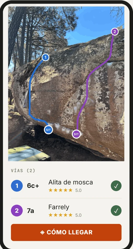 Vías dibujadas a mano sobre la foto real de una piedra